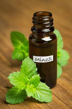 mint oil 