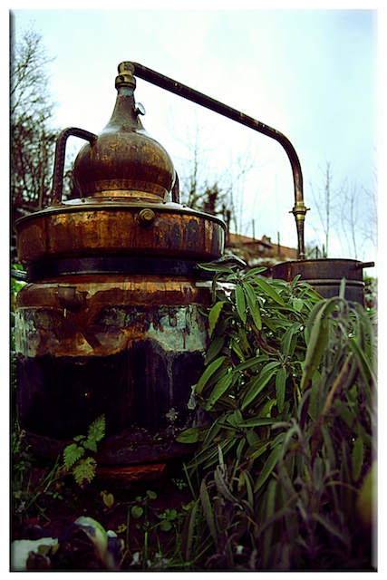 Stills for decoration from Destillatio