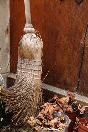 cleaning supplies and brushes